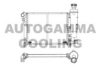 AUTOGAMMA 100196 Radiator, engine cooling